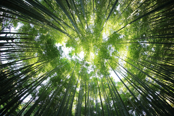 Sustainability & Energy